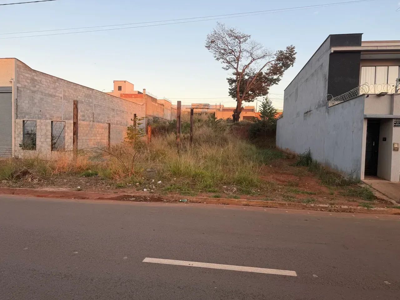 Lote Comercial - Foto 5
