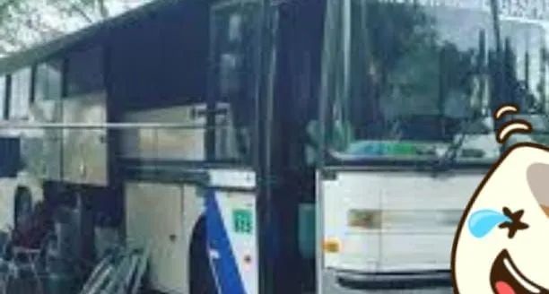 Vendo ônibus trailer. 