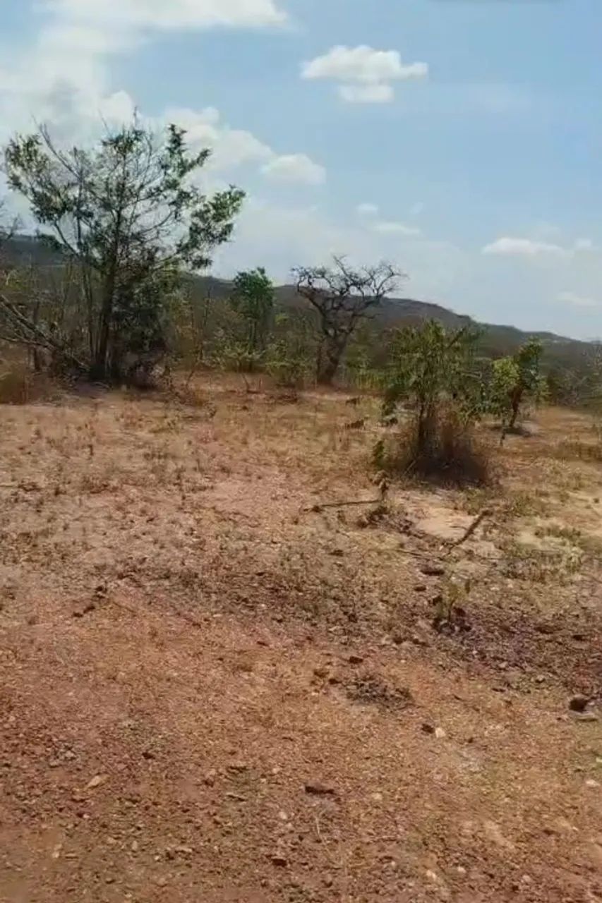 Vendo chácara ou troco - Foto 5