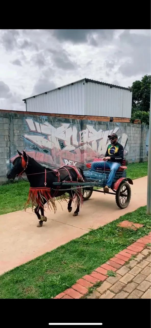 PONEI COM CHARRETE A VENDA - Foto 3