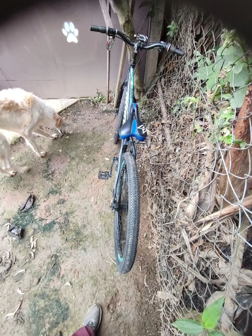 Bike aro 29