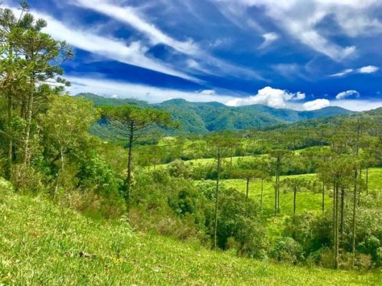 Chácaras em Urubici - Foto 6