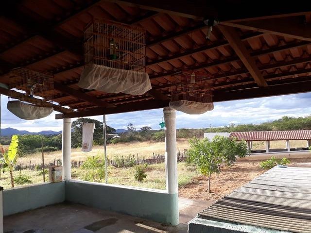 Chácara em Afogados da Ingazeira, 20 mil M² de Área, casa com 2 quartos - Foto 7