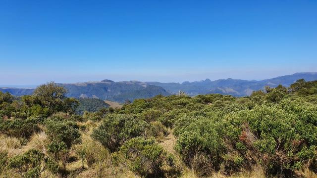 Sitio em Urubici/chácara em Urubici/área rural - Foto 4