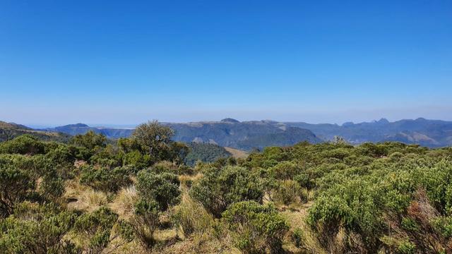 Sitio em Urubici/chácara em Urubici/área rural - Foto 5