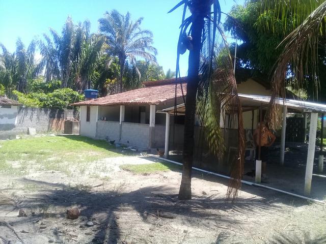 Vende-se sítio - Foto 7