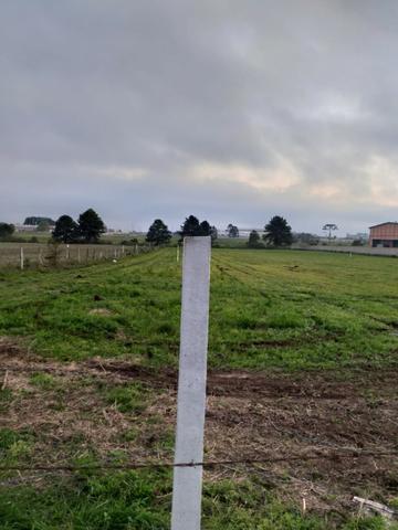 Vendo áreas lindas Costeira São José dos Pinhais Direto proprietario - Foto 5