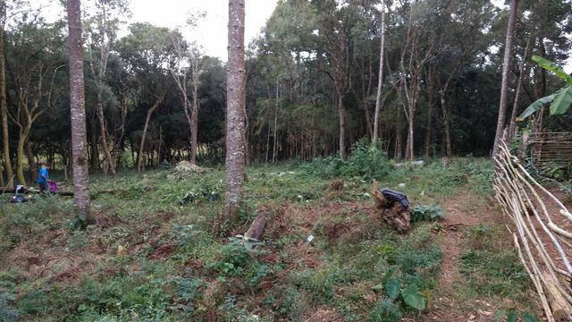 Chácara em Araucária, asfaltada, aceito trocas - Foto 8