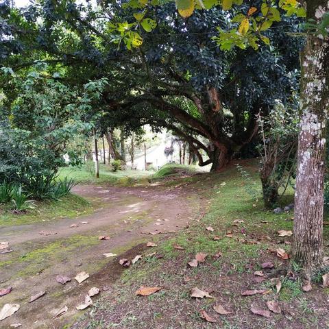 Sítio Amobre - Passa Três RJ - Foto 8