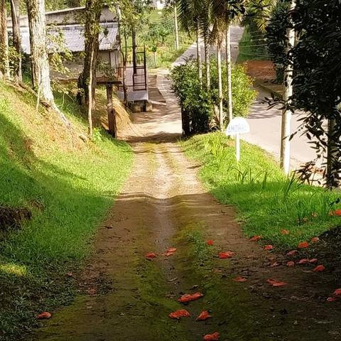 Sítio Amobre - Passa Três RJ - Foto 7