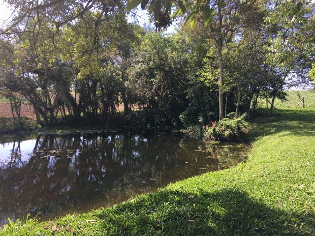 Chacara - São José dos Pinhais - Foto 4