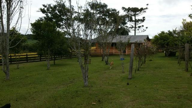 Fazenda /Lapa - Foto 5