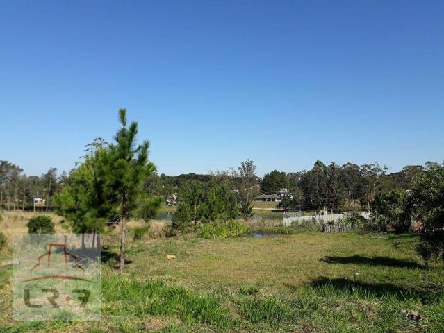 Terreno no Bosque Merhy, Quatro Barras. - Foto 11