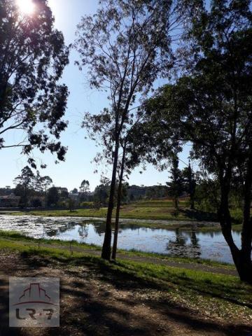 Terreno no Bosque Merhy, Quatro Barras. - Foto 6