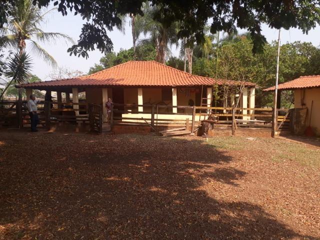 Fazenda 70 Alqueires - região Paranaíba - F100519 - Foto 9