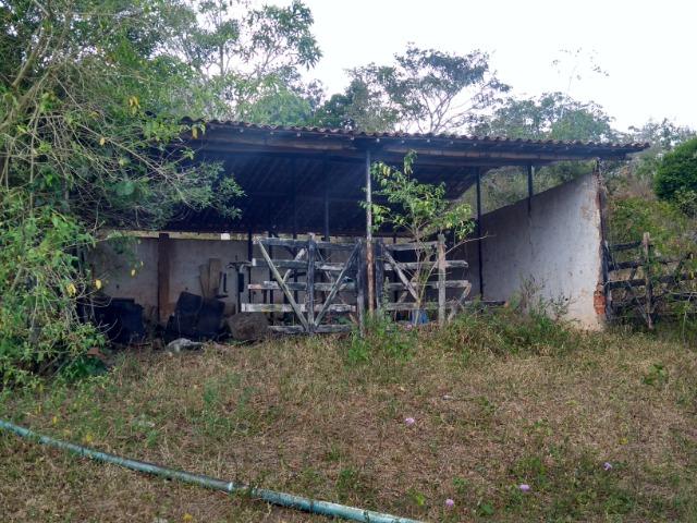 Vendo fazenda com 125 tarefas em Pojuca - Ba - Foto 9
