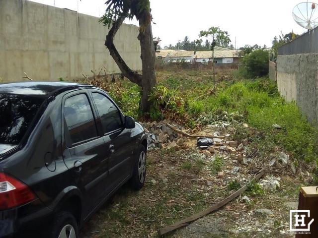 Terreno à venda - mosqueiro (zona de expansão) - Foto 7