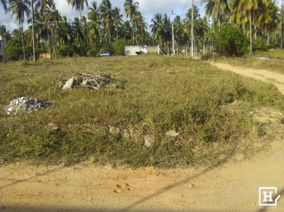 Terreno à venda - mosqueiro (zona de expansão) - Foto 4