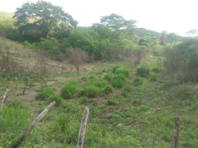 Propriedade de 13.5 hectares, escriturada, entre Glória do Goitá e Pombos-PE - Foto 12