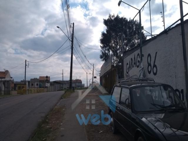 terreno, tatuquara - Foto 10