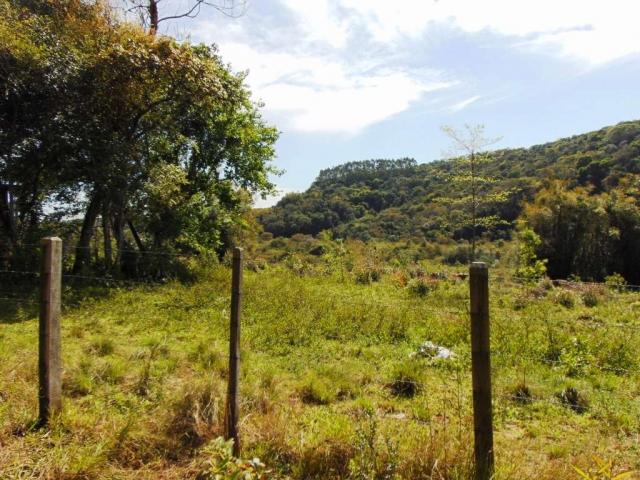 Área de Terras em Muda Boi em Montenegro - 03 - Foto 10