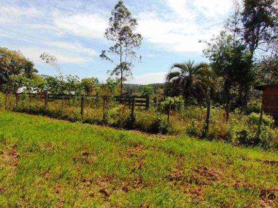 Área de Terras em Muda Boi em Montenegro - 03 - Foto 3