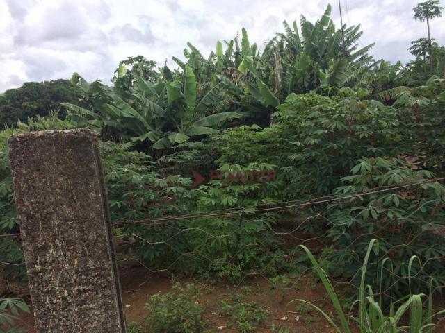 Fazenda com 4 dormitórios à venda, 310 alqueirão cidade de deus - cocalzinho de goiás/go - Foto 20