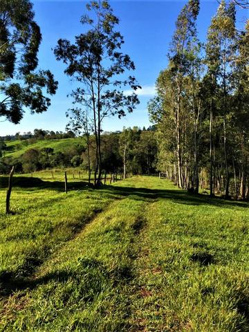 Sítio em Céu Azul - Foto 20