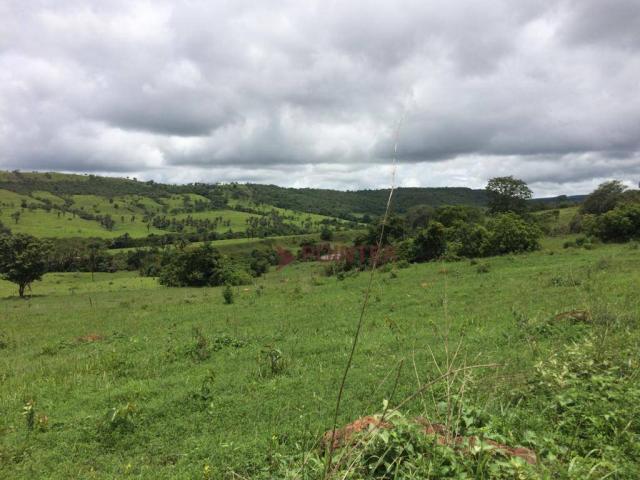 Fazenda com 4 dormitórios à venda, 310 alqueirão cidade de deus - cocalzinho de goiás/go - Foto 11