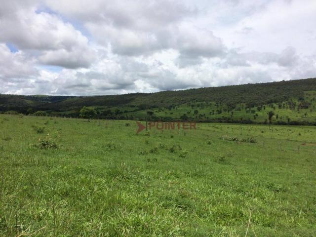 Fazenda com 4 dormitórios à venda, 310 alqueirão cidade de deus - cocalzinho de goiás/go - Foto 12
