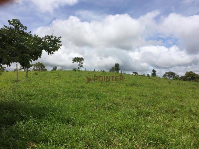 Fazenda com 4 dormitórios à venda, 310 alqueirão cidade de deus - cocalzinho de goiás/go - Foto 7