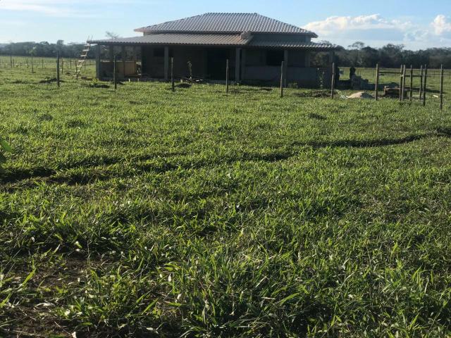 Chácaras palmeira - 2.000 m2 - entrega imediata - parcelas a partir de r$197,33 fixas - Foto 6