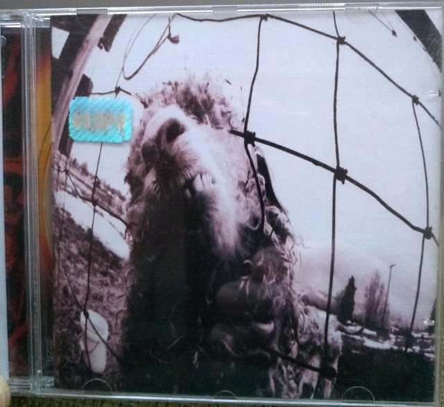 Cd Pearl Jam VS