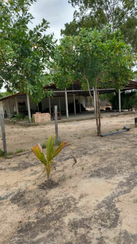 ÓTIMA OPORTUNIDADE - Foto 6