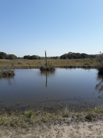 Linda Fazenda com 206 Hectares Campo Grande - Foto 4