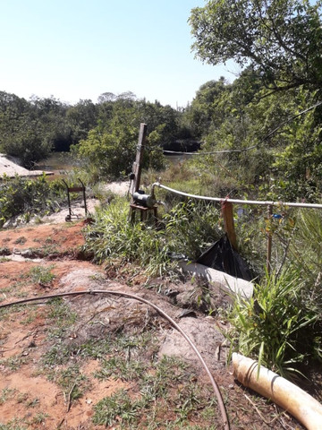 Linda Fazenda com 206 Hectares Campo Grande - Foto 15