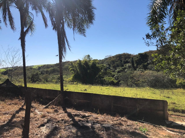 Sitio Merediano 15.5 alq ac troca Rio Preto - Foto 6