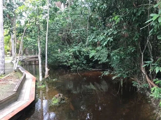 Vivenda das Palmeiras - Disponível para Aluguel - Foto 11