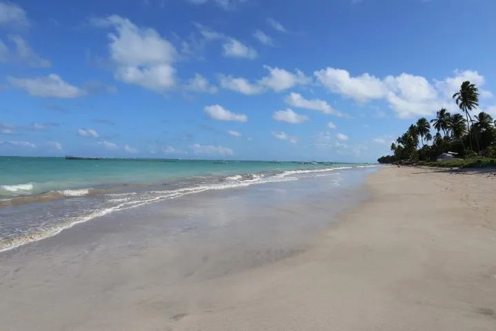 Vende-se Terreno em São José da Coroa Grande Próximo a Praia - Foto 10