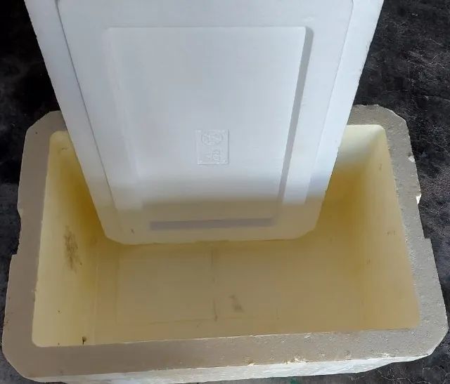 Caixa Térmica Isopor 50 Litros - Foto 3