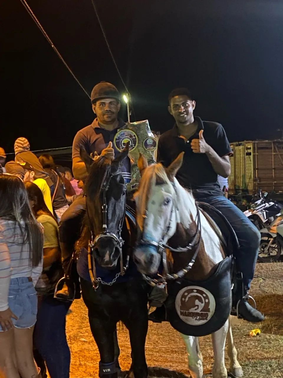 Cavalo de direita  - Foto 4
