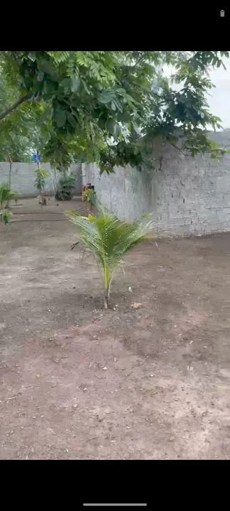 Vendo essa chácara  - Foto 8