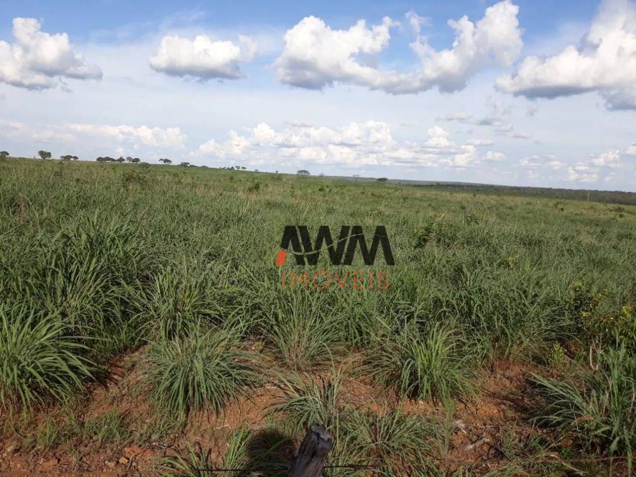 Fazenda à venda,  m² por R$ 28.000.000,00 - Zona Rural - Duerê/TO - Foto 2