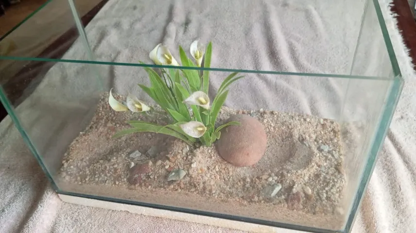 Vendo Aquário 11 Litros