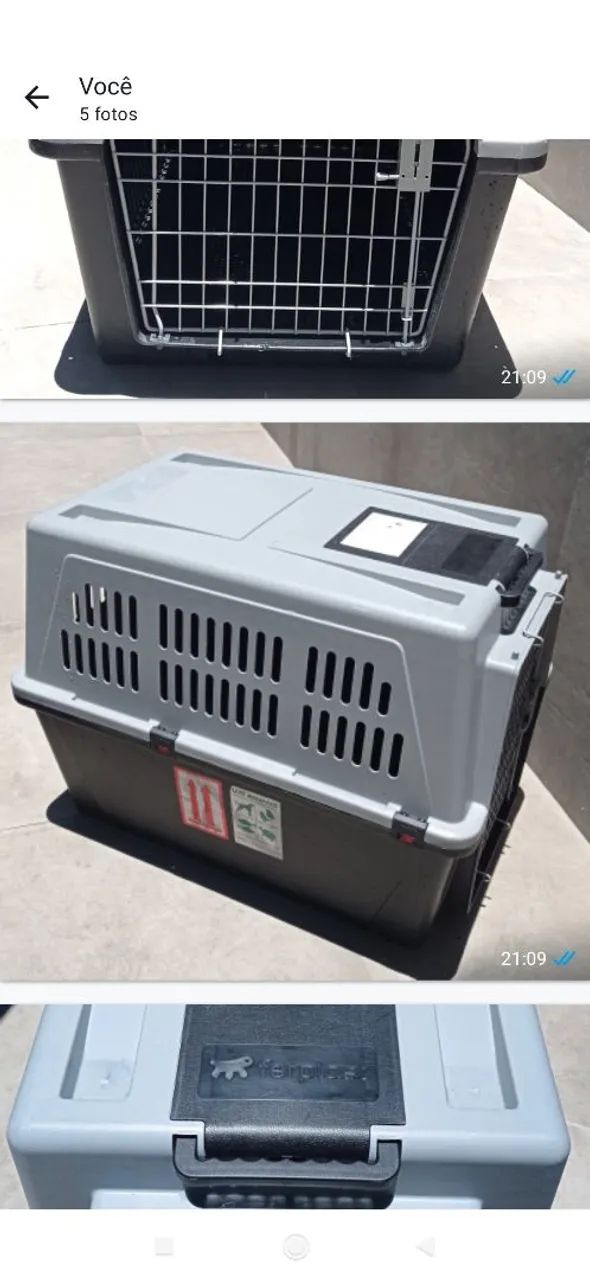 Caixa de Transporte para Cães