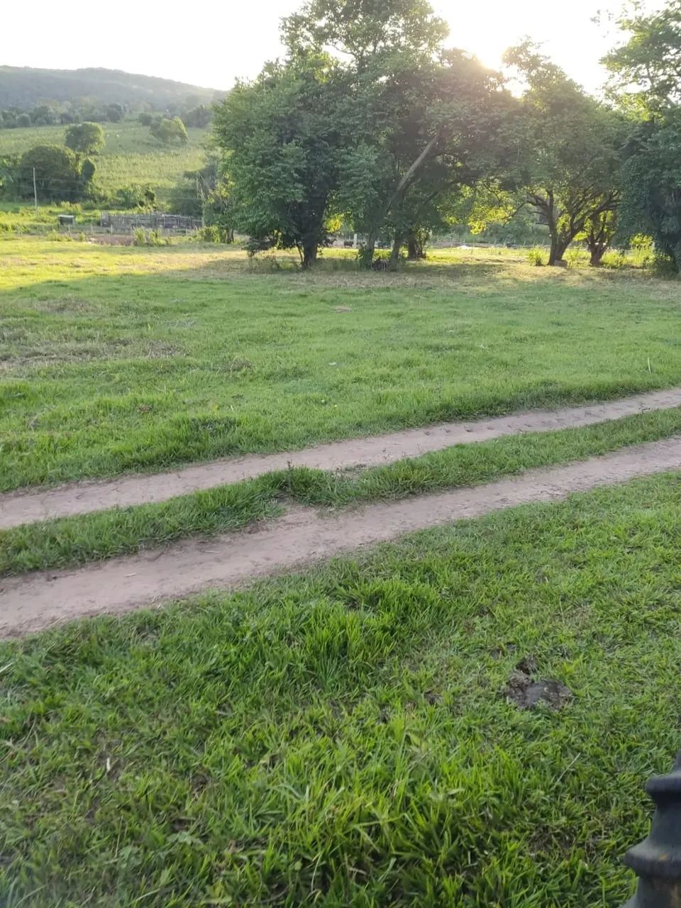 COD348- Fazenda 303 HECTARES- São Gabriel do Oeste/MS.