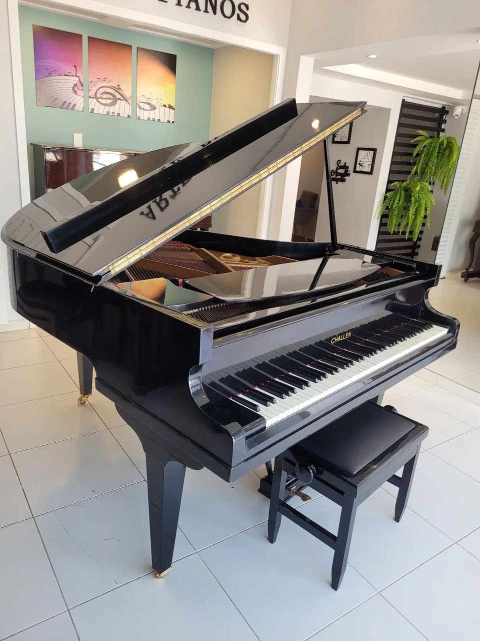 Piano Cauda Challen - Arte Pianos  - Foto 4