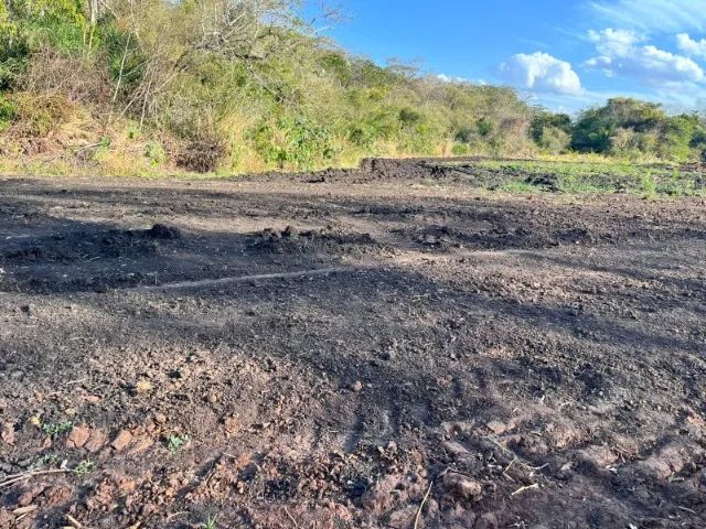 Área de lavoura em Bonito Ms - Foto 4