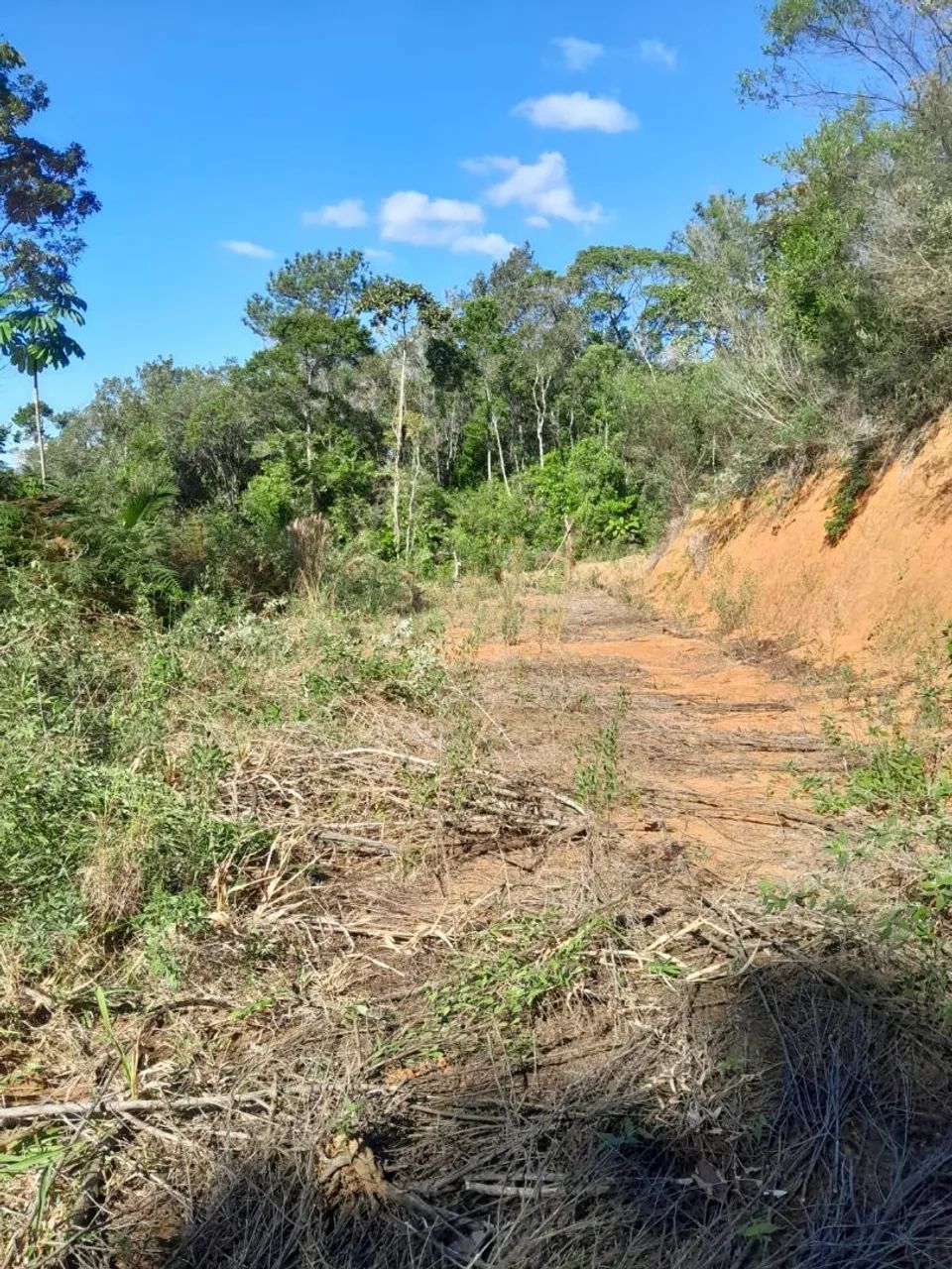 Foto - Antônio Carlos - Centro