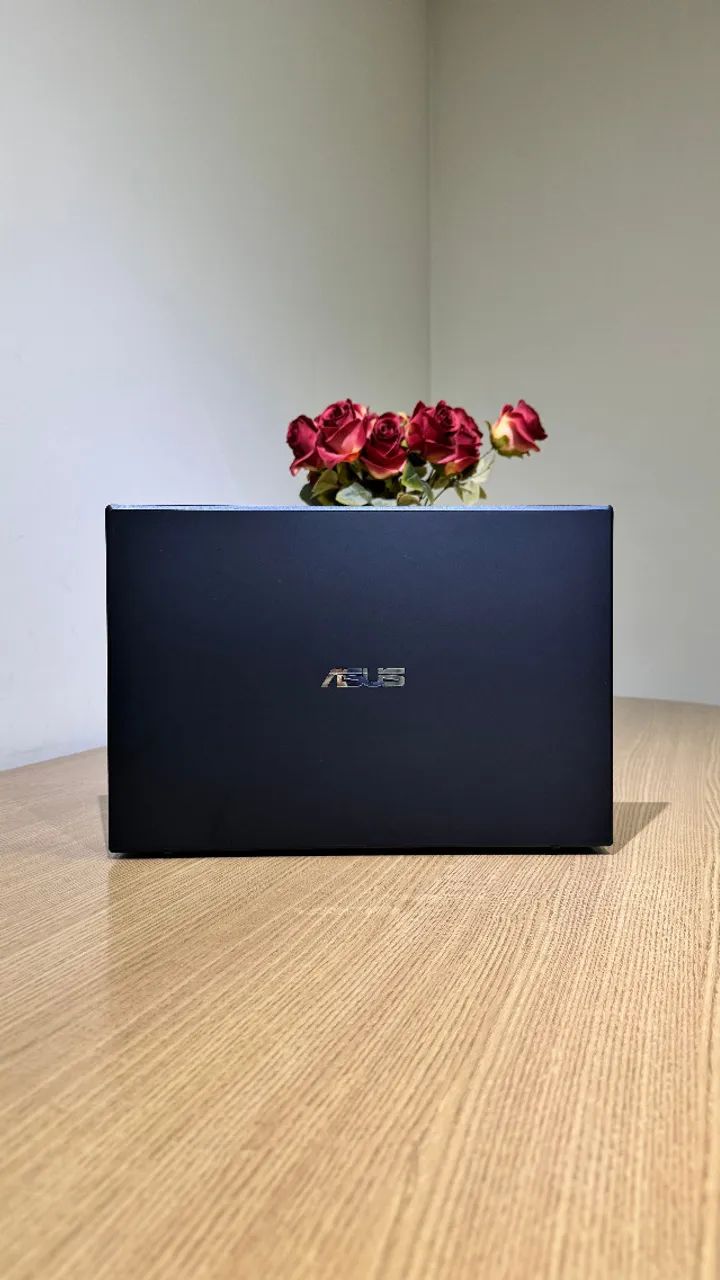 Notebook Asus VivoBook i5 16Gb 256Gb SSD FHD GTX 1650 4Gb (Garantia)